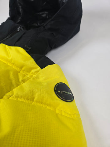 Icepeak Skijas Geel Grijs Dames S